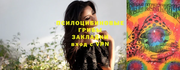 круглые Вязники